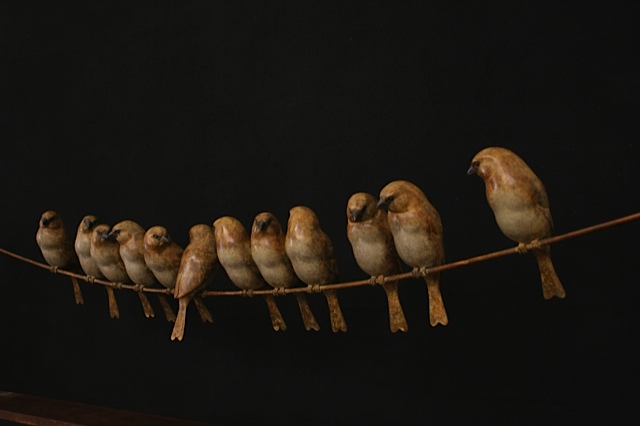 12 Sparrows