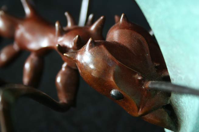 Leaf Cutter Ant Head