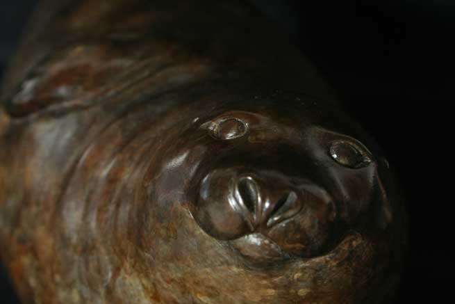 Seal Head