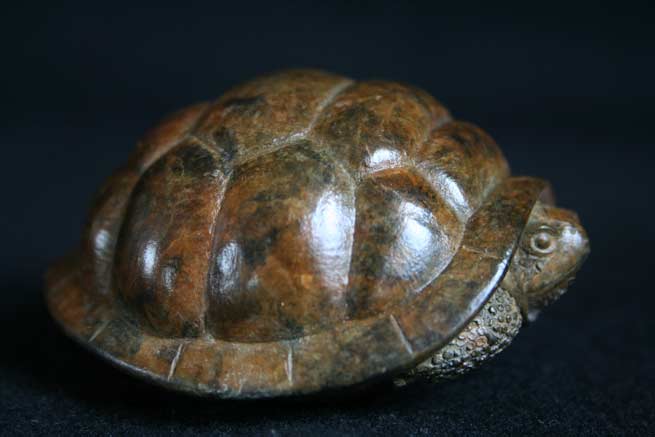 Small Tortoise