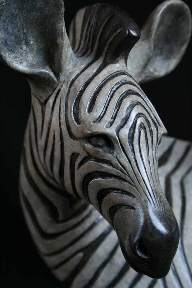 Zebra Foal Head