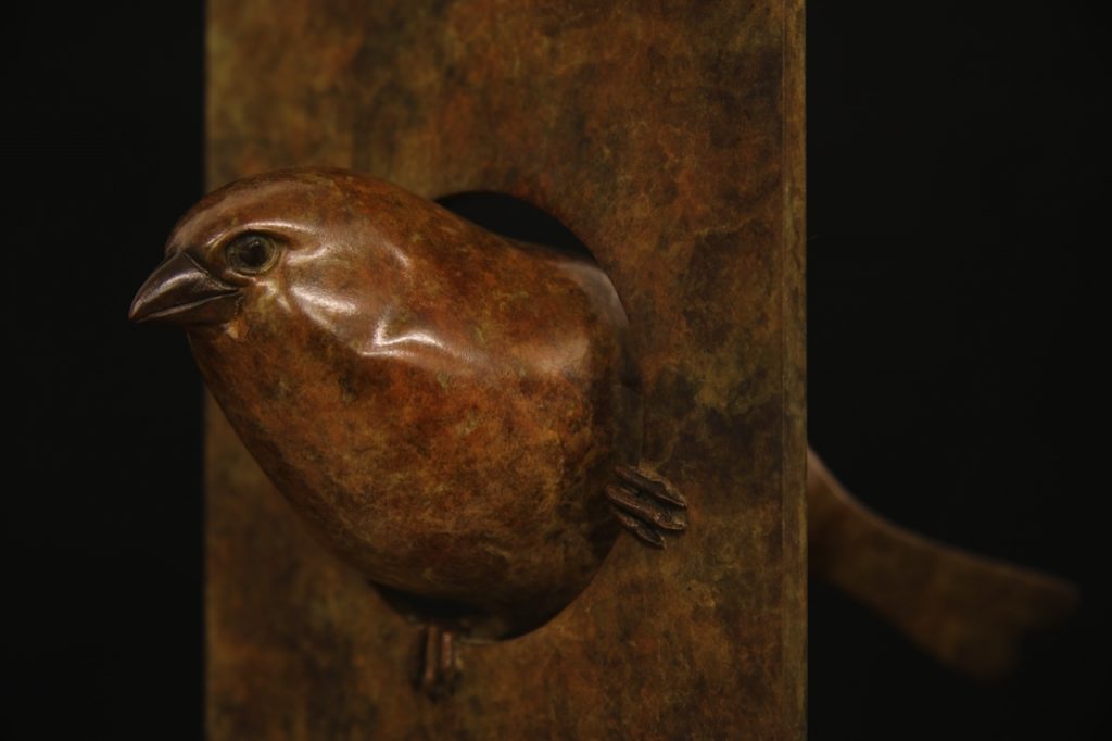 Bronze Sparrow