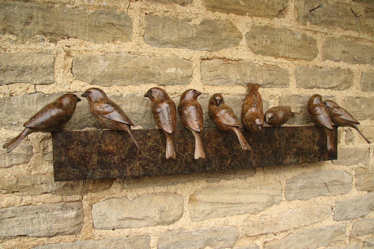 Bronze Sparrows