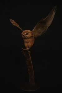 Bronze Owl