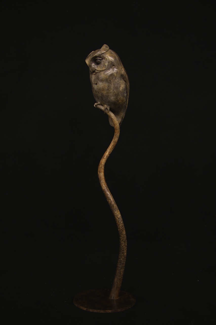 Bronze Scops Owl