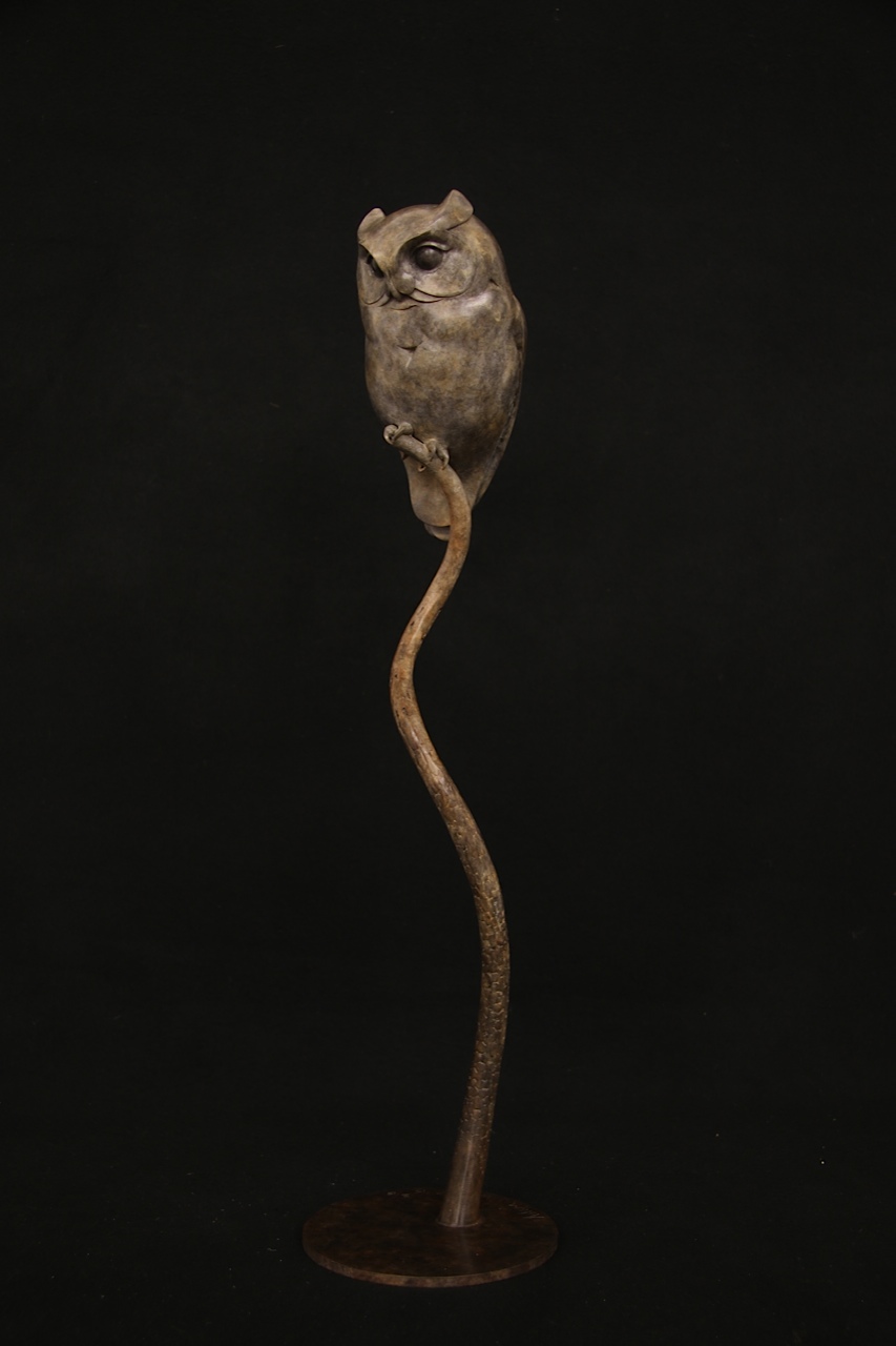 Bronze Scops Owl