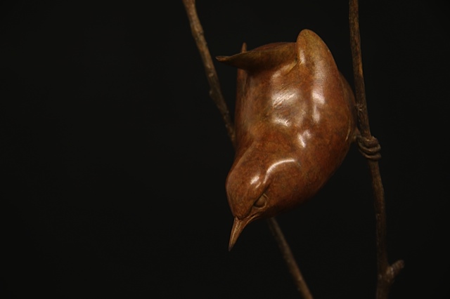 Bronze Wren