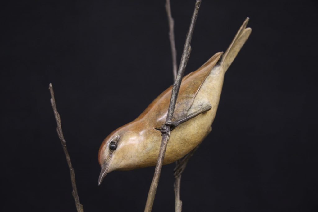 Bronze Willow Warbler