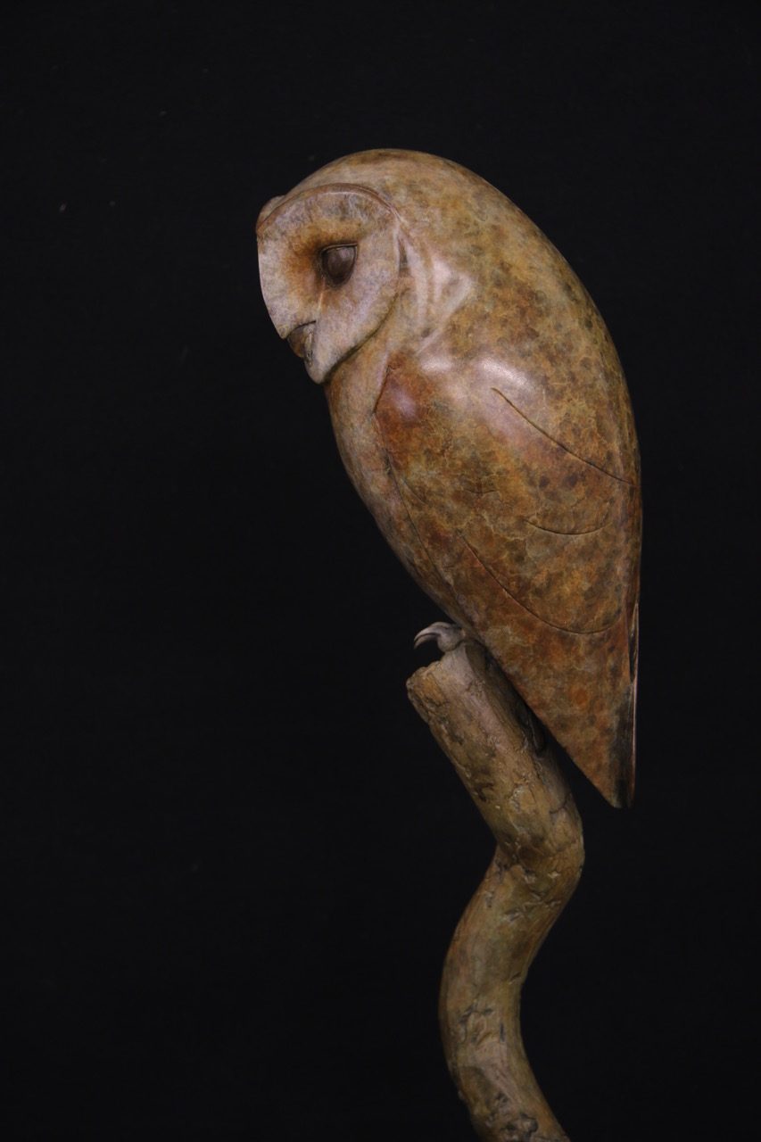 Bronze Barn Owl