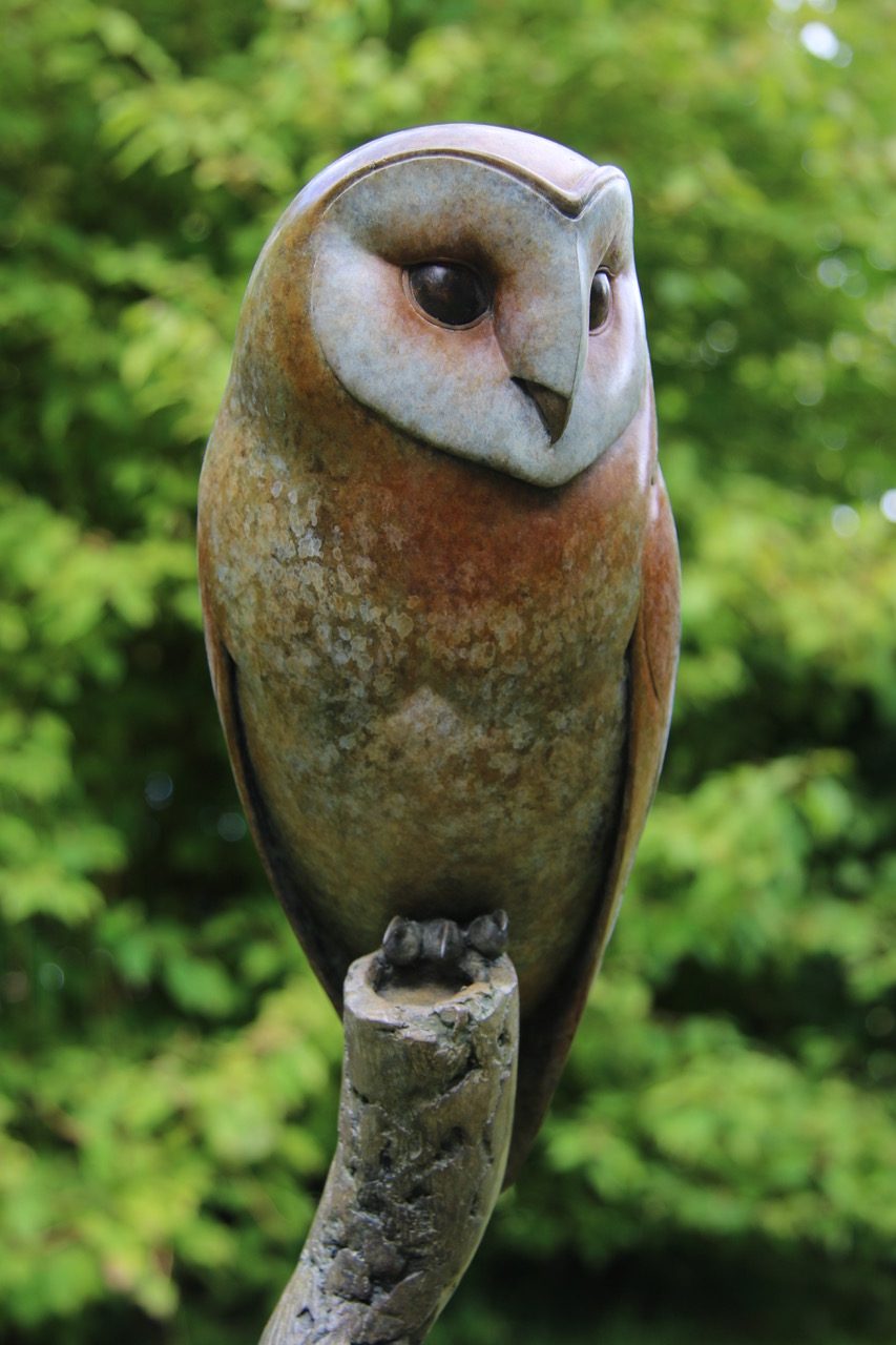 Bronze Barn Owl