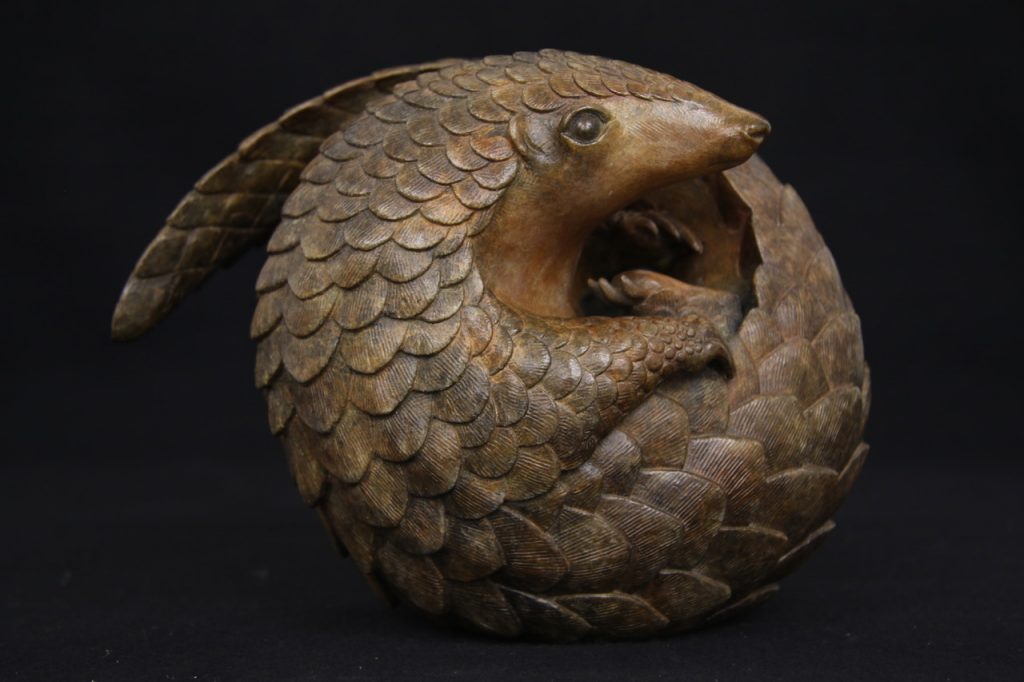 Bronze Pangolin