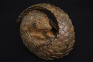 Bronze Pangolin