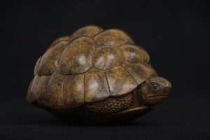 Bronze Tortoise