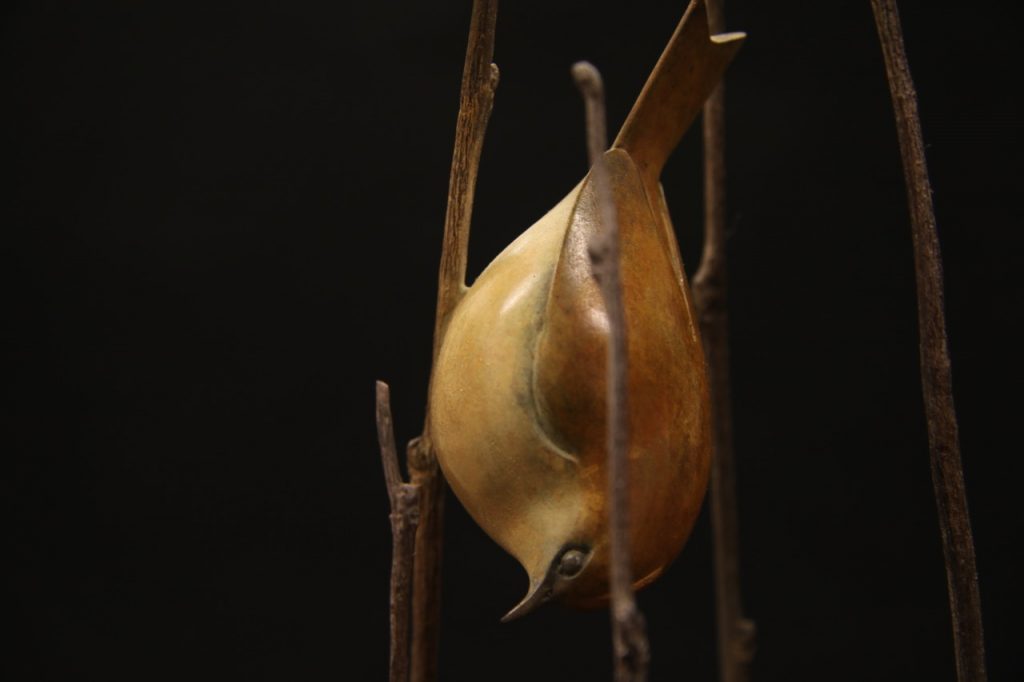 Goldcrests