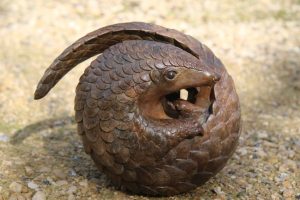 Bronze Pangolin