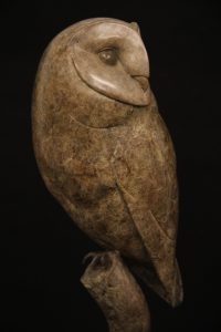 Bronze Barn Owl