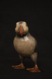 Bronze Puffin