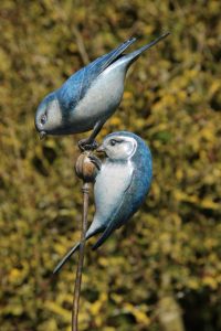 Bronze Blue Tits