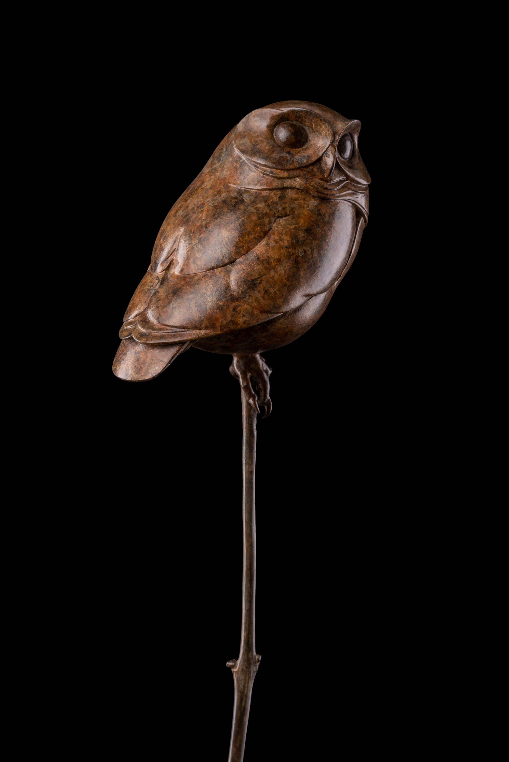Bronze Little Owl