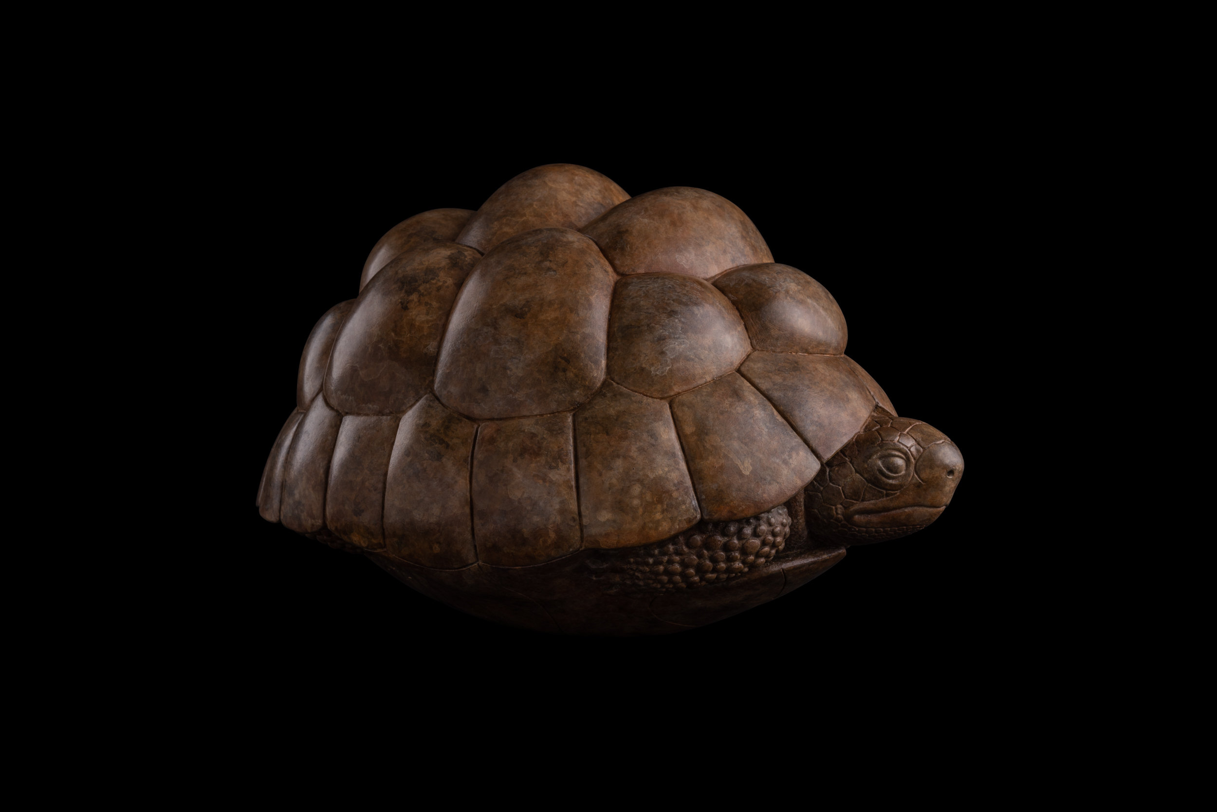 Bronze Tortoise