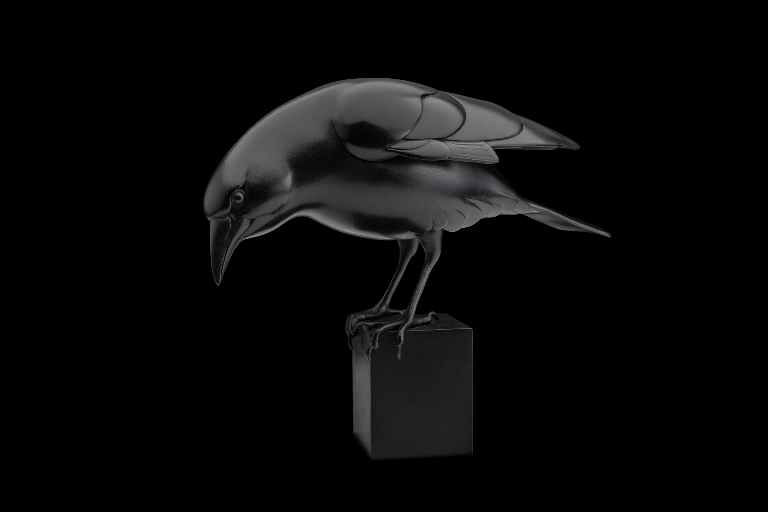 Bronze Crow