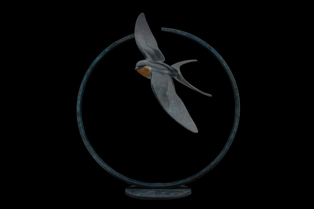 Bronze Swallow