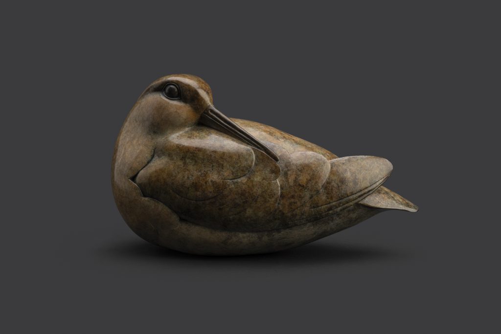 Bronze Woodcock
