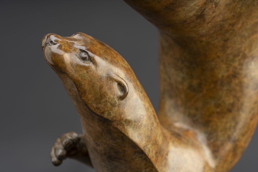 Bronze Otter