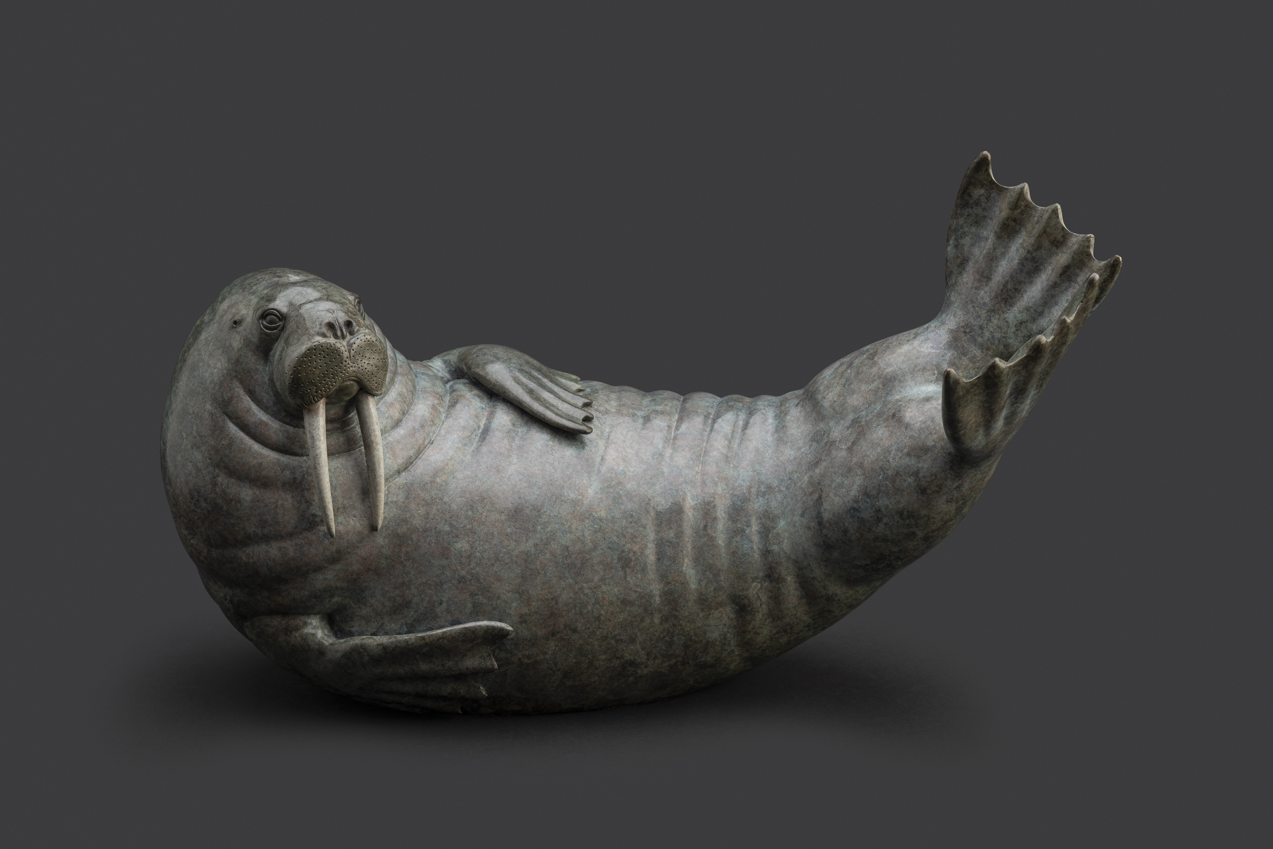 Bronze Walrus