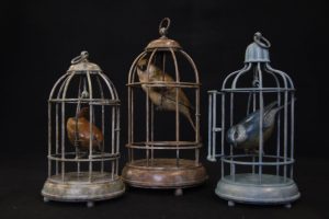 Bronze Bird Cage