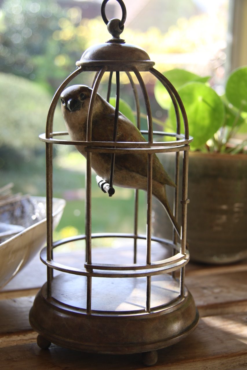 Bronze Bird Cage