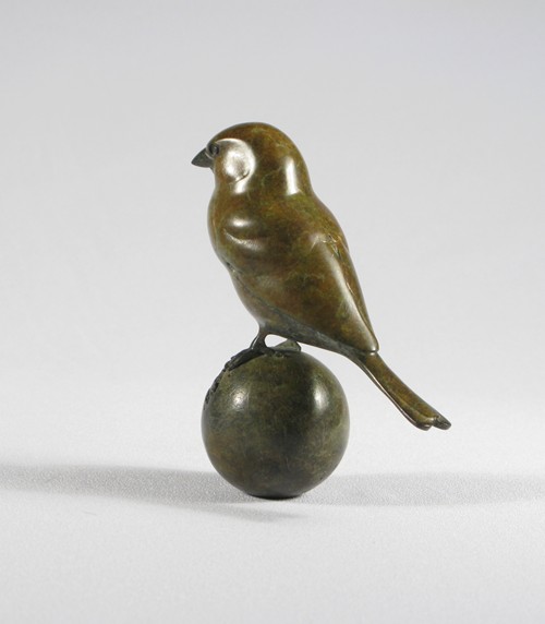 Bronze Sparrow