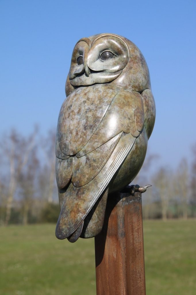 Tawny Owl