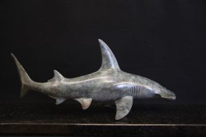 Hammer Head Shark