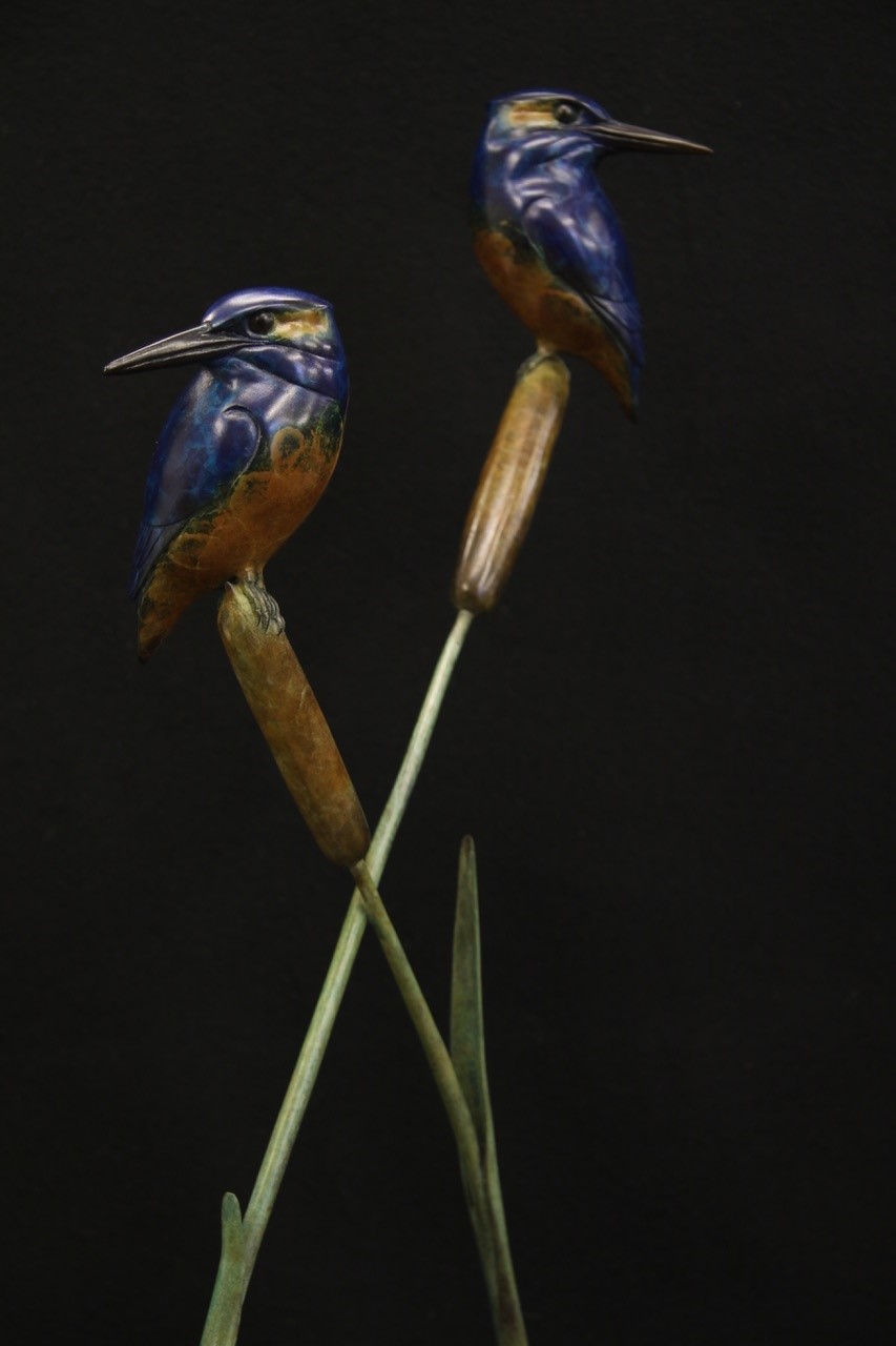 Kingfishers