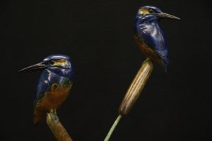 Kingfishers