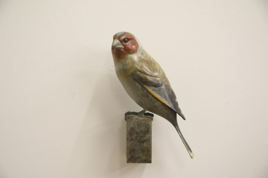 Bronze Goldfinch