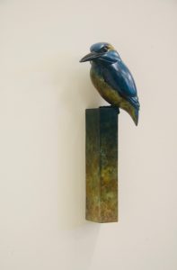 Bronze Kingfisher