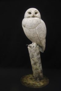 Snowy Owl