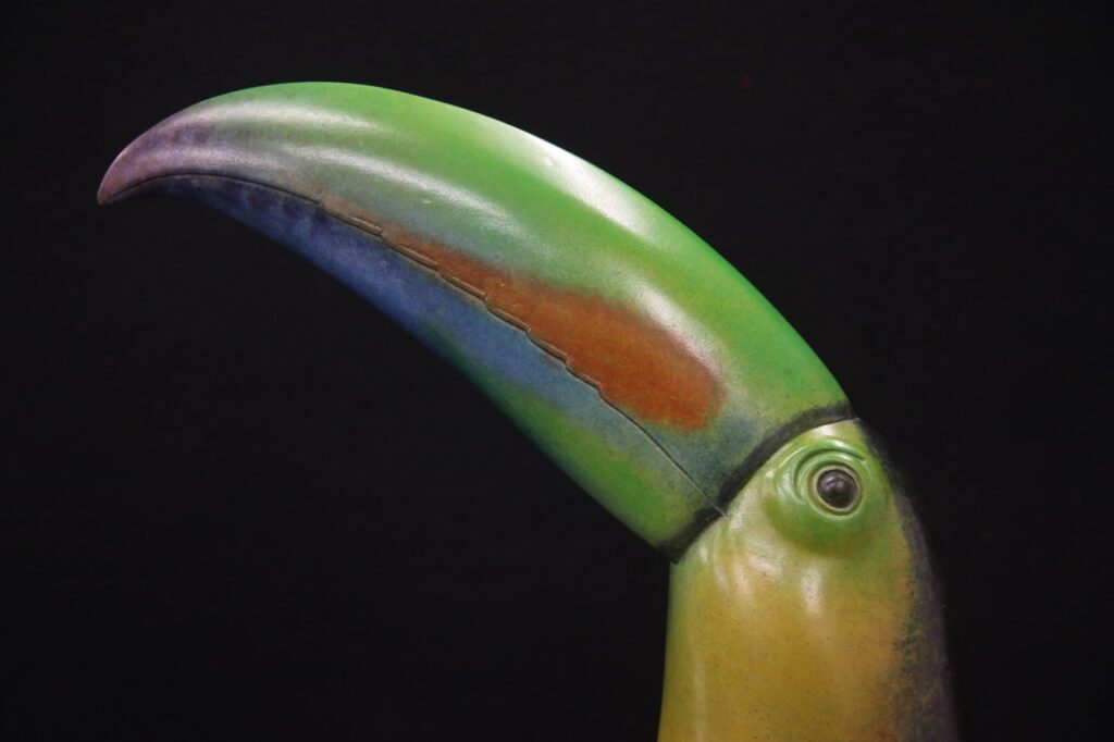 Toucan