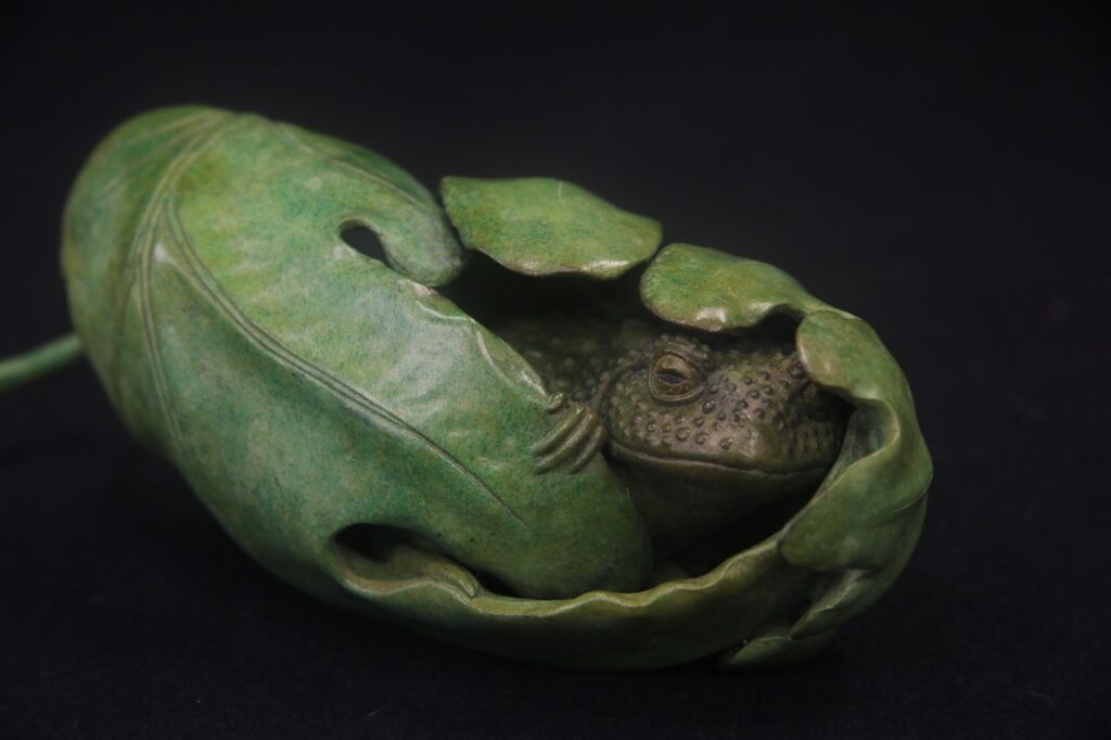 Toad