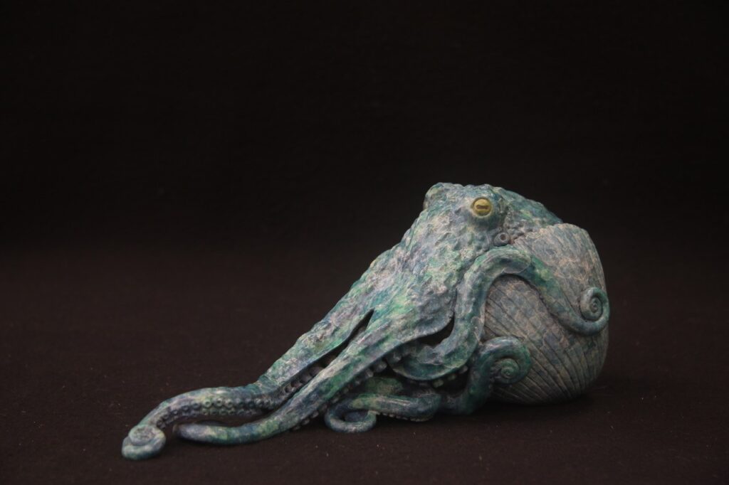 Octopus