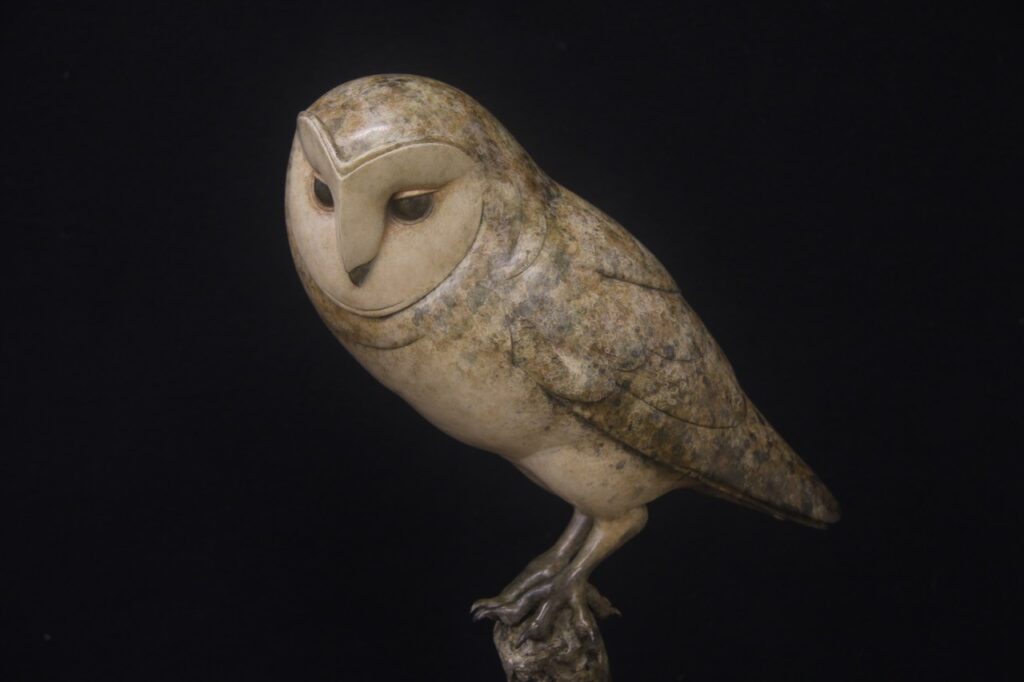 Bronze Barn Owl